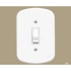 Interruptor Blanc+ C/placa 1 Secao 16a 4x2 3906 Fame