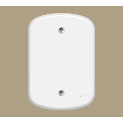 Placa Blanc+ 4x2 Cega F0 3934/3933 Fame