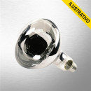 Lampada Secagem 250w 127v Quality/multimarcas