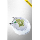Assento Oval Std Resina Fantasia Branco 1206 Bonek/169319 Poliart